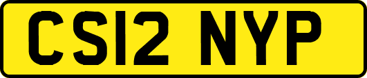 CS12NYP