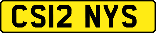 CS12NYS