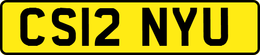CS12NYU