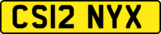 CS12NYX