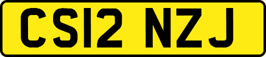 CS12NZJ