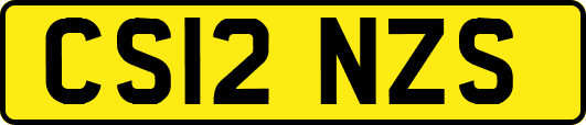 CS12NZS