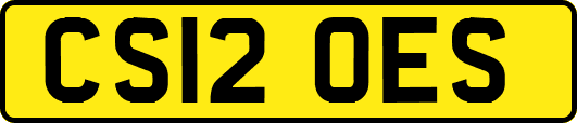 CS12OES