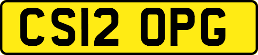 CS12OPG