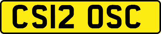 CS12OSC