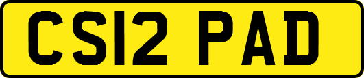 CS12PAD