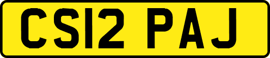 CS12PAJ