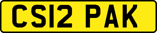 CS12PAK