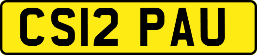 CS12PAU