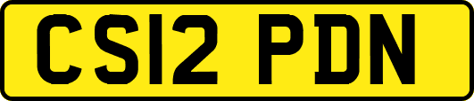 CS12PDN