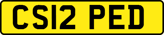 CS12PED
