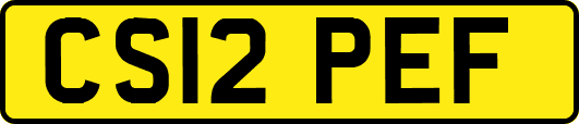 CS12PEF