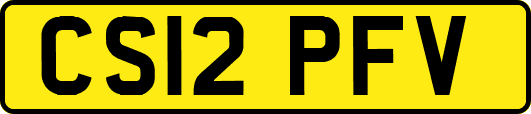 CS12PFV