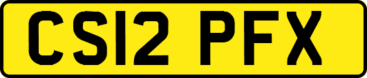 CS12PFX