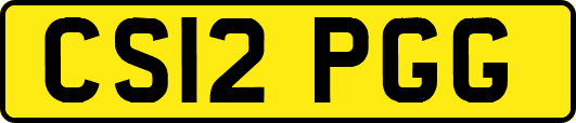 CS12PGG