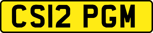 CS12PGM