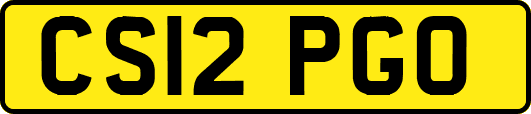 CS12PGO