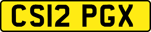 CS12PGX
