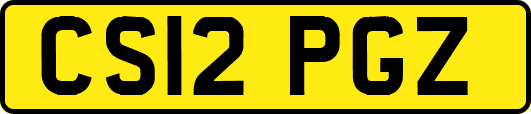 CS12PGZ