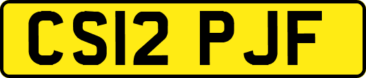 CS12PJF