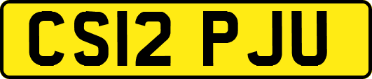 CS12PJU