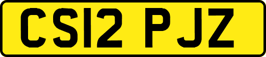 CS12PJZ