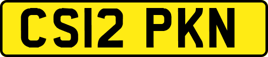 CS12PKN