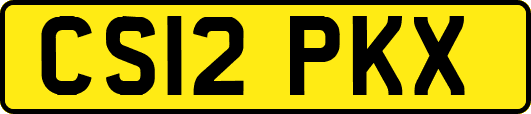 CS12PKX