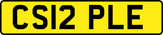 CS12PLE