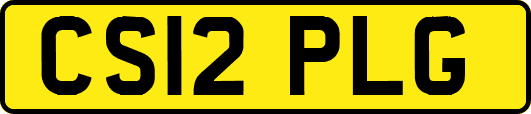 CS12PLG