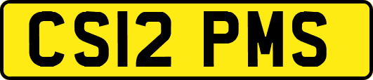 CS12PMS