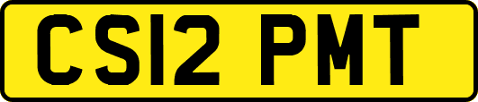 CS12PMT