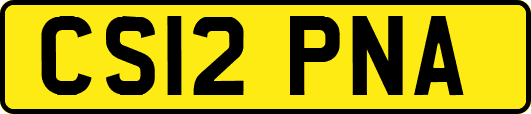 CS12PNA
