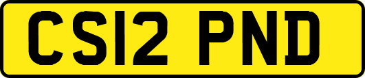 CS12PND