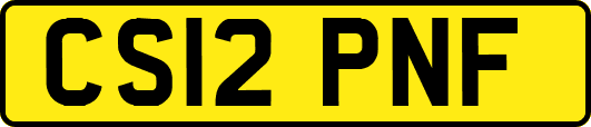 CS12PNF