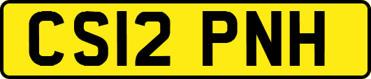 CS12PNH