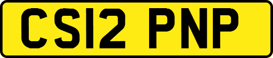 CS12PNP