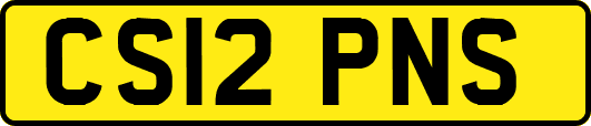 CS12PNS