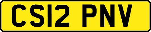 CS12PNV