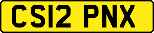CS12PNX