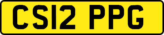 CS12PPG