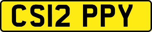 CS12PPY