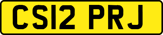 CS12PRJ