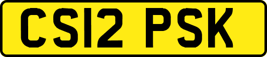 CS12PSK