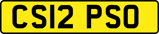 CS12PSO