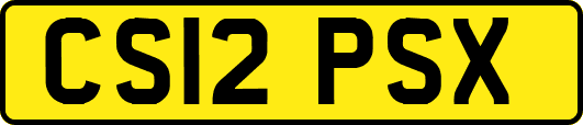 CS12PSX