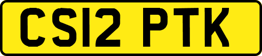 CS12PTK