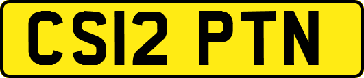 CS12PTN