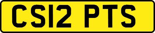 CS12PTS