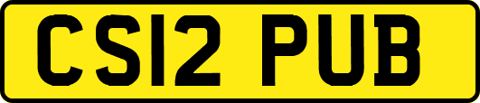 CS12PUB